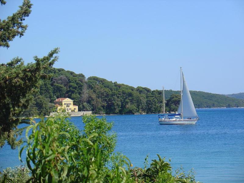 Akti Apartment Nydri (Lefkada)